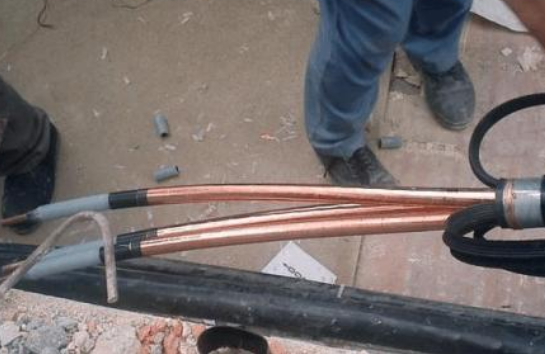 黄色荔枝视频免费看下载 黄色荔枝视频免费看下载