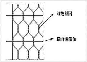 加筋黄色荔枝视频免费看下载